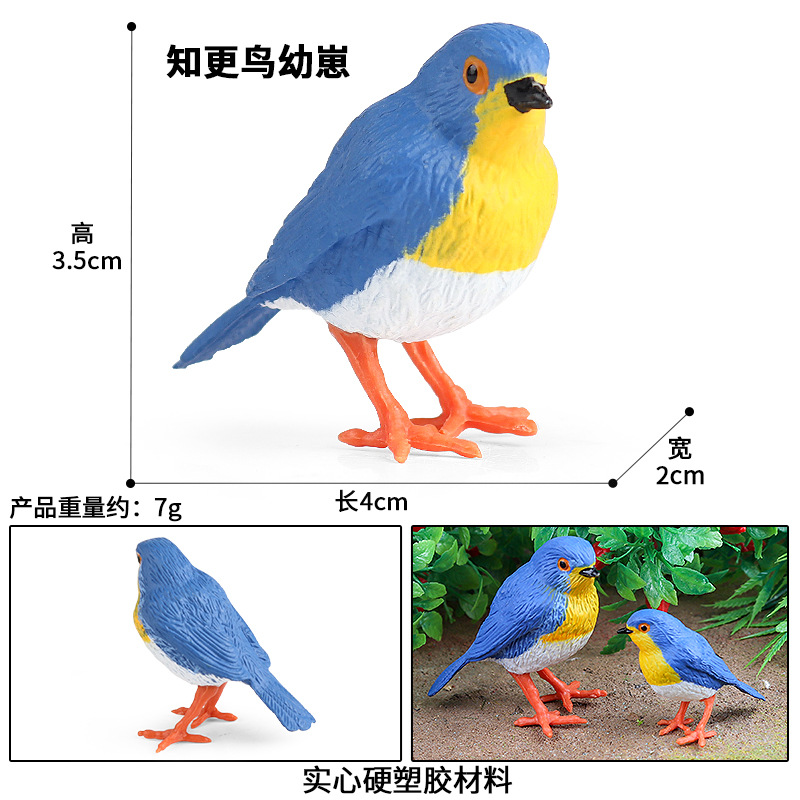 3050 Little Robin Baby (Blue)