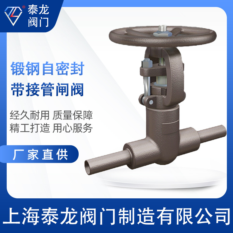 锻钢WCB带接管闸阀测压阀DN25DN32DN40DN50DN65DN80DN100DN125