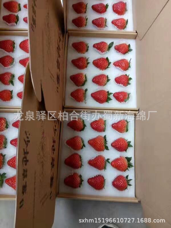 厂家供应66枚77枚88枚草莓海绵周转箱包装/草莓成型拉伸海绵包装