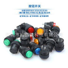 R16-503A/B/AD o/iʽ/ԏʽAΎԴIo_P