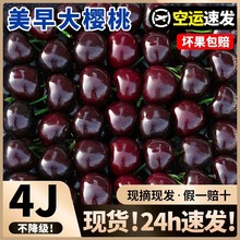 美早大樱桃新鲜水果包邮山东当季整箱国产车厘子
