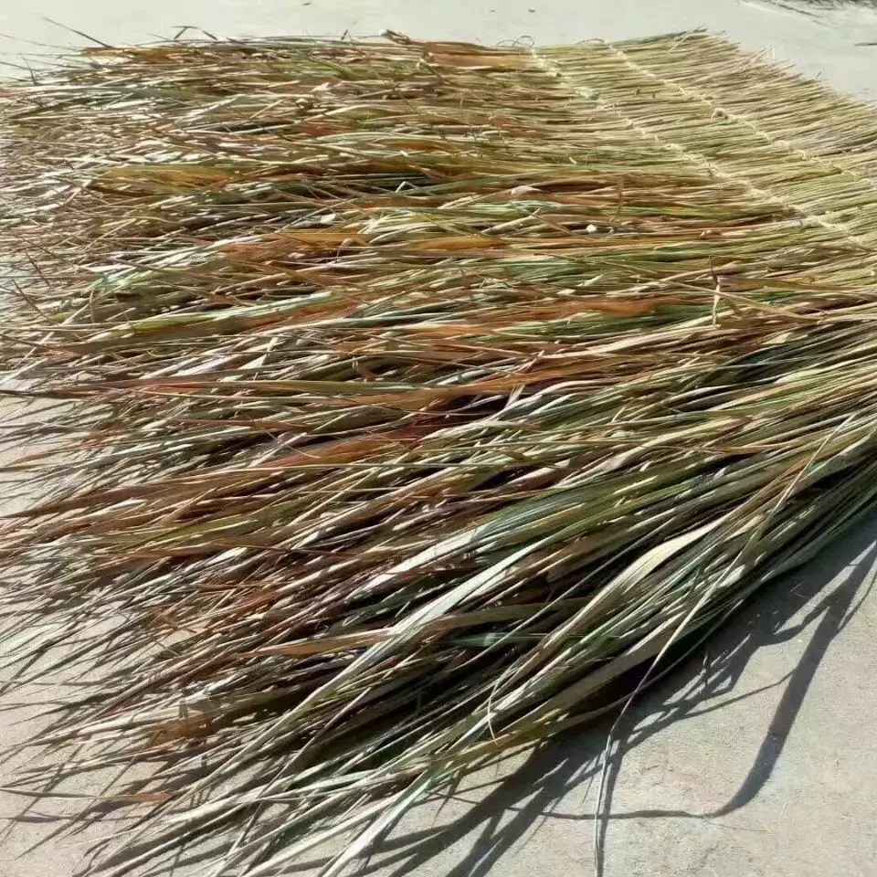 Соломенная крыша Дикая дикая соломенная плитка Анти-древняя плитка Соломенный павильон Настоящая соломенная солома Материал для украшения 1 метр на 1 метр