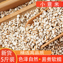 С޲����؛�r�҃��|���x޲�����s�Z����֧��һ�����l