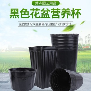 ��ɫ�I�B����ͨ���ϼ�ͥ�@ˇ�@�ֻ��܌���������I�B���S��