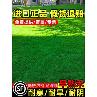 ��ƺ�����ļ��������޼�ͥԺ�G������������ͺ��ͺ����`̤�ݷN��