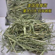 ���ش������l������Ħ���ɲ���Ħ�����üZ�����}����m�i��ɲݶ�