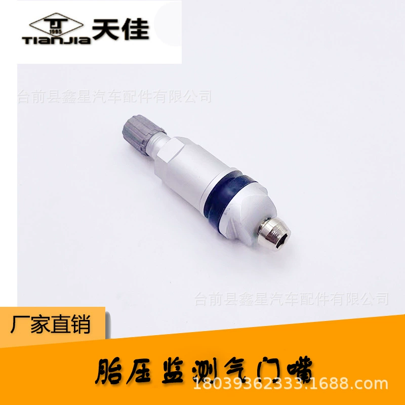 TPMS-18 взрывозащищенное клапанное гнездо датчика контроля давления в шинах, подходит для Changan CS75, Baojun S60, Hongguang S1