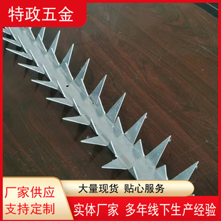 Factory in stock supply hot dip galvanized bird repellent spike house tree bird-proof spike pastoral Orchard bird-proof spike
