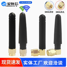 2.4G 5G 5.8g 2dbiplС쾀 owifi·XW쾀