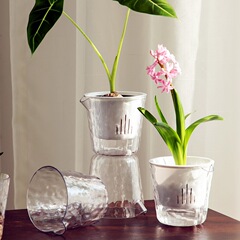 高透明自己吸水植木鉢は水をかけないでください。