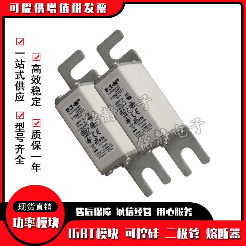 170M2691 170M2692 170M2693 170M2694 170M2695 170M2696熔断器