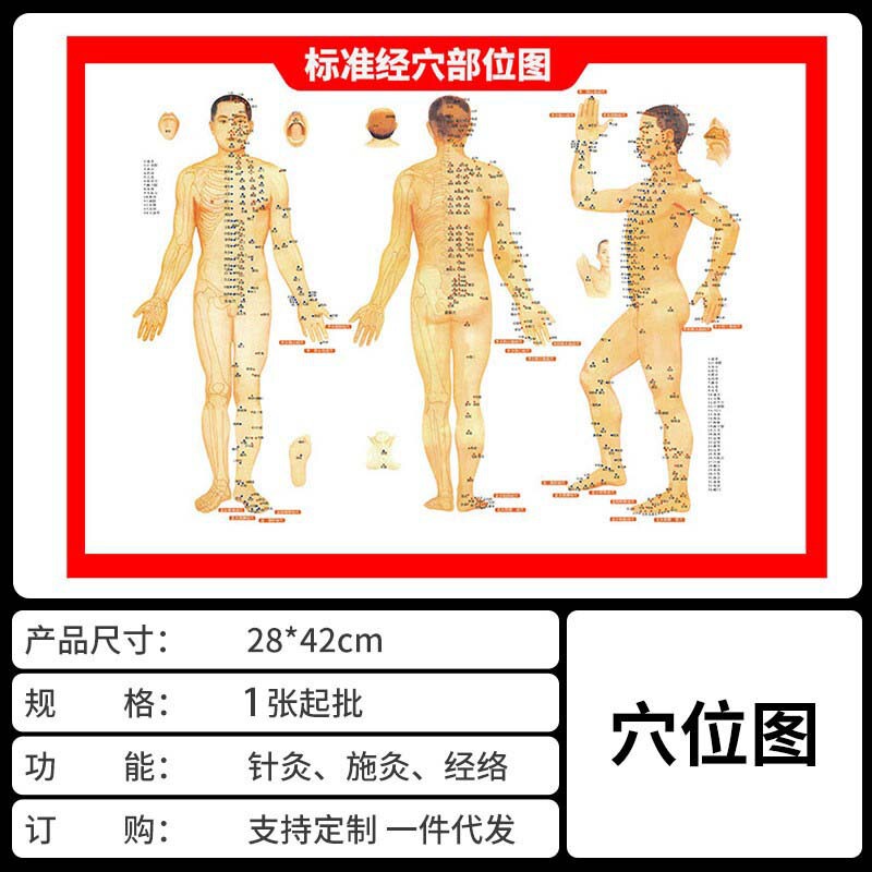雷の火のツボの灸の灸の箱の灸の缶の美容院の専用の宮廷は身につけて灸の携帯式の灸器の器具の卸売りを治療します|undefined