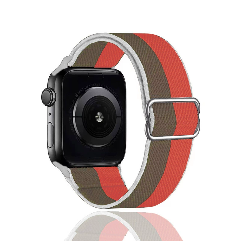Apple, elastic adjustable watch strap