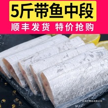 新鲜带鱼段大段冷冻带鱼东海小眼带鱼刀鱼段中段海鲜水产顺丰冷链