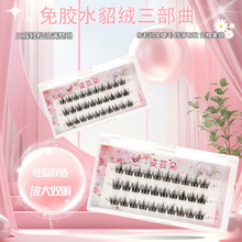 ���z��ճˮ���q�������ٽ�ë 5d�냺��ë���зֶ�ʽ��ж3D�۽�ë