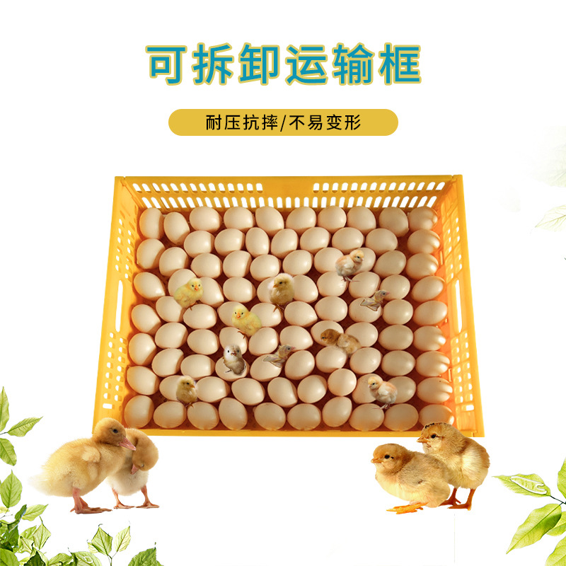 Incubadora marco de incubación desmontable marco de incubación frutas y verduras marco marco de rotación fábrica al por mayor