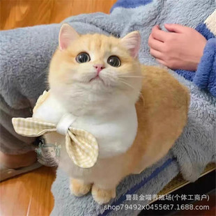 ��u�ӻ��w��؈����؈���w12ɫ���_��u��؈���w���N��u���Lë؈