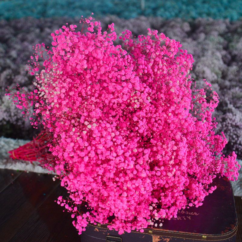 [Gymsophila] dried flower factory wholesale Valentine's Day gift eternal flower Gymsophila bouquet decorative diy flower