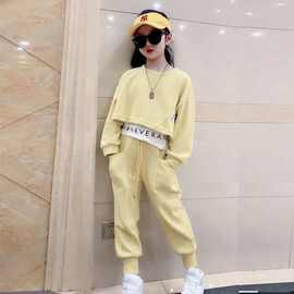女孩洋气秋套装衣服长袖假两件卫衣儿童秋季两件套运动服装童装女