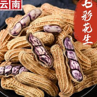 ���x�ش��w������߲ʻ���ˮ�󎧚��������ִ೴؛�̸���؛�؂�S