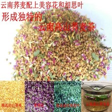 ɢ�b���w����wȫ��ѿ��ɢ�b���w��V�����l�S�����lȫ�߲��w����