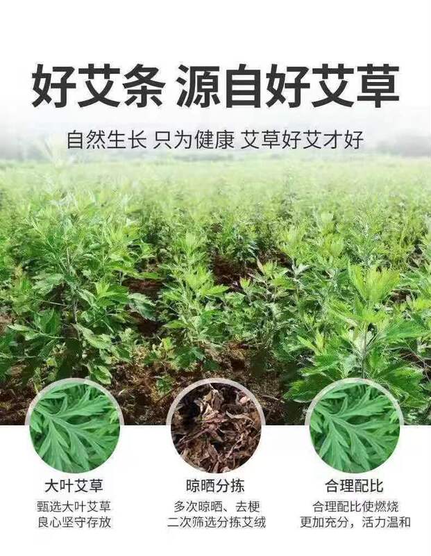 富元艾陳年陳艾条フェア艾条卸売り艾草条艾葉条南陽滓条艾条10本セット|undefined