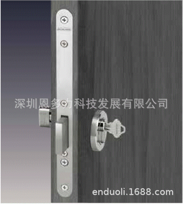 ���ʽ�Schlage ������EL2010 ���ڴ������ų�����������������