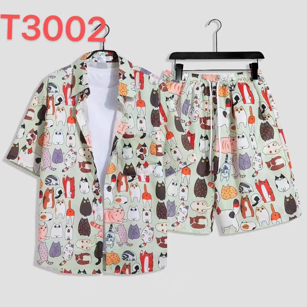 T3002