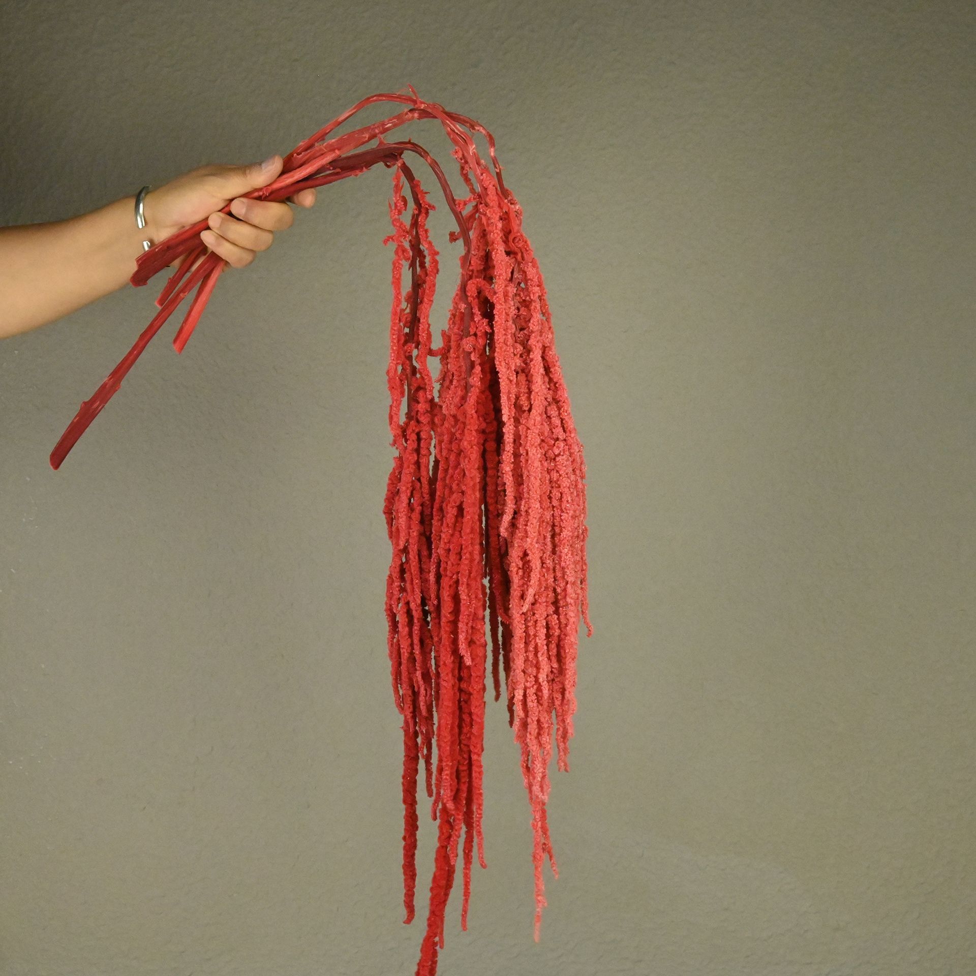 Flores fantasmas colgantes de arroz flor inmortal Juliet Amantes lágrimas colgantes de flores de decoración de bodas flores verdaderas