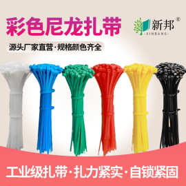 国标4X彩色尼龙塑料扎带外贸自锁颜色任选零售批发束线耐高温抗冻