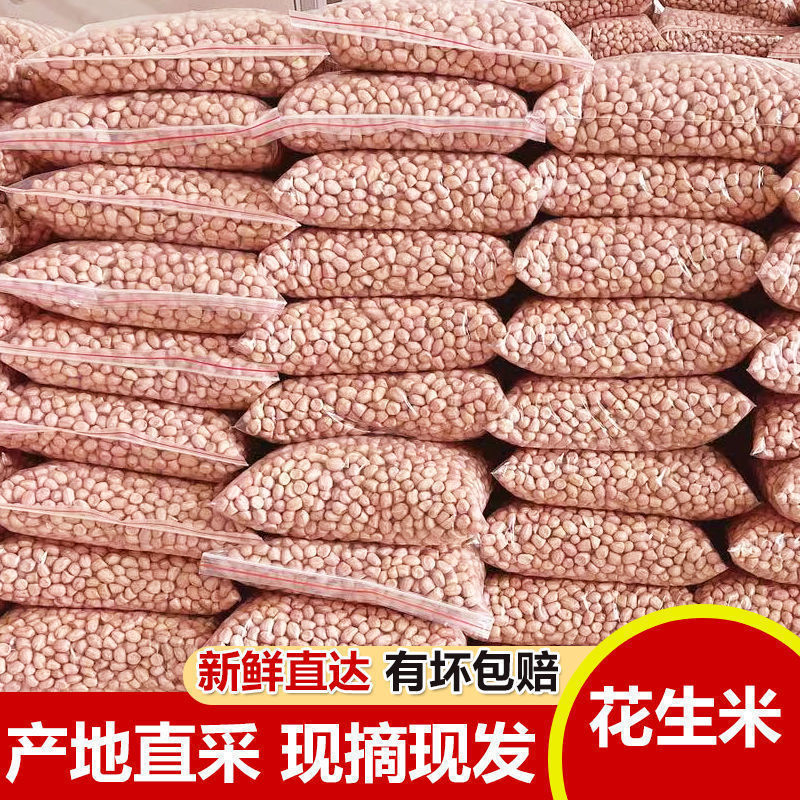 花生米批发当季新货生5斤无壳花生种子精选大颗粒农家自种直销
