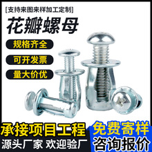 ������ĸ��Û�ݽz�ݿ���ĸ�����FƤ���ϰ��X���ݽz������Û�׹�