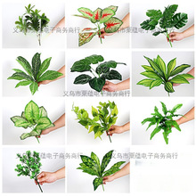 �廨����G���b������ۘǲ�����ֲ����ۆ�֧�͏d����Gֲ