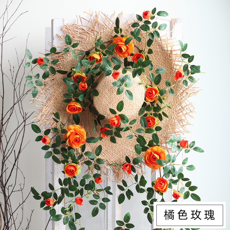 오렌지 한국 차 장미 꽃 덩굴 1.75 미터