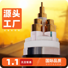 YJV��|�������~оYJV22-0.6/1kV-3*185+1*50 ��ȼ�ͻ������|��