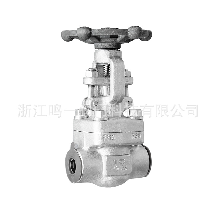 锻钢闸阀承插焊闸阀NPT/RC螺纹闸阀 不锈钢F304316L国标美标闸阀
