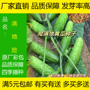 ˮ���S�ϷN�ӷN������������ϼ޽Ӵ�ȫС�����������S�σ��N