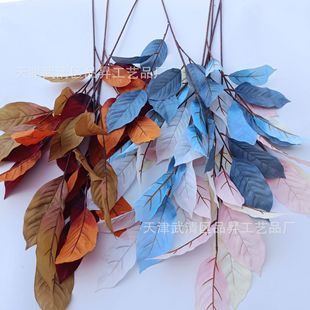 ����â���~ ��c����·�����T�Ҿ��b��̈��Ƶ�廨���~���Q���l