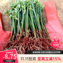 ֱloNޱ¼ļ_ٱ̨Դ׻