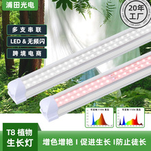 T8ֲ���a����t�{���V�~�˹Ϲ���ɫ�����҃�һ�w��LED���L������