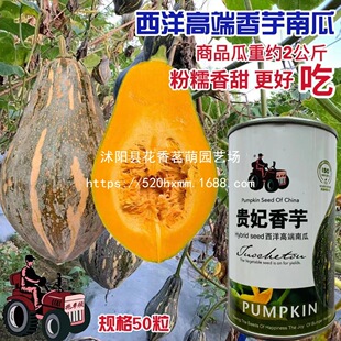 �����ϹϷN��������ܛŴ����ζ�Ϲ��ѷN�����r���߲˷N�ݷN��