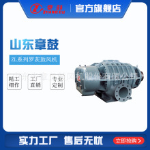 山东章鼓  ZL系列罗茨鼓风机