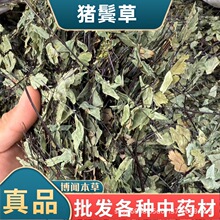 �i�W����ș�� ��؛�F���� С�ië�� ʯ���� �F�z�� ��ș���l��ȫ