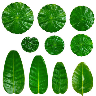 ����Ž��~������~60cm�G�~�������|ˮ�����b��~���z�����~