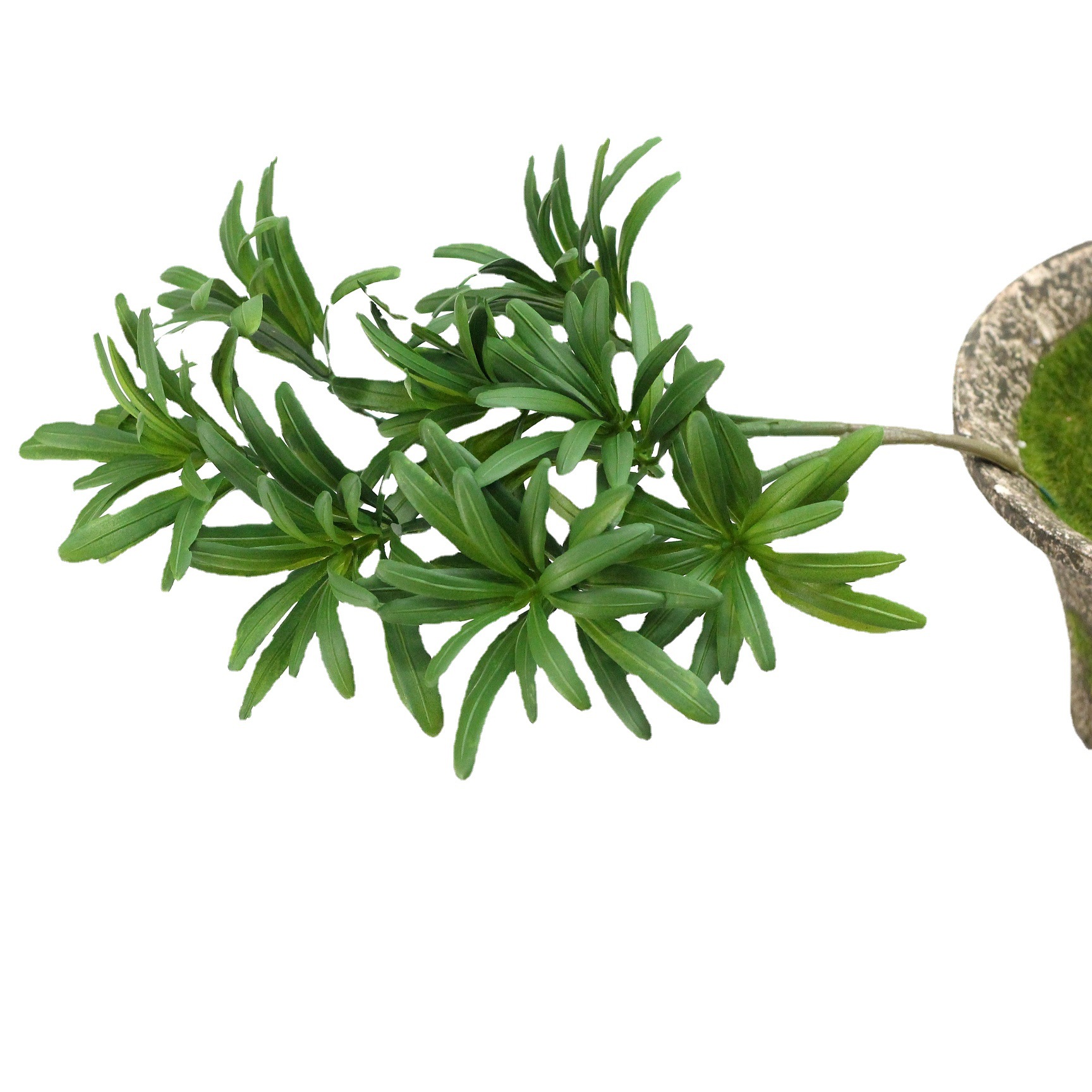 罗汉松仿真树叶 植物松针假树枝松柏盆栽绿植美人松喷色