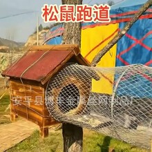 松鼠跑道 松鼠跑笼 小动物跑道笼子不锈钢彩色萌宠乐园钢丝封闭网