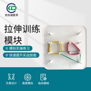 Human Body Stretching Training Module, Grasping Forceps and Separating Forceps, Simulated Surgery, Simulated Sutures, and Clinical Practice Experience in Internal and Surgical Surgery