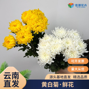 �S�׾ջ��r�����l��ϻ���ֱ�l���S�մ�׾ջ�ˮ�B�����L������