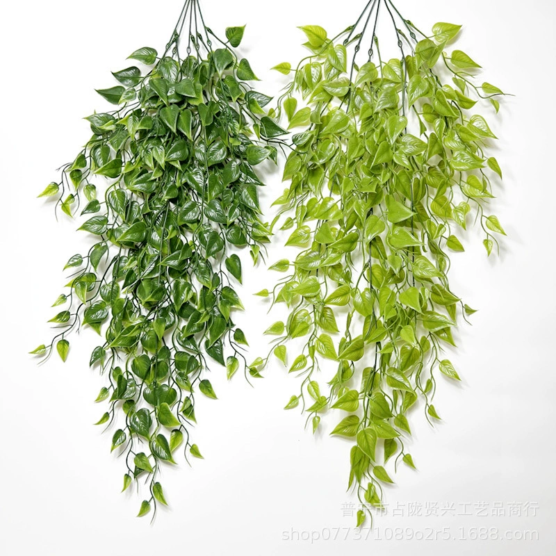 Amazon Simulation Sweet Potato Leaf Goto Wall -mounted Luo Ye decorative store Factory wholesale