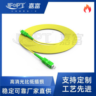 Polarization-Preserving Fiber Jumper Pigtail Pm980Nm Fcapc Panda Type Sc Lc Fast and Slow Axis 1060Nm 780Nm
